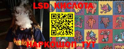 PSILOCYBIN Бугуруслан
