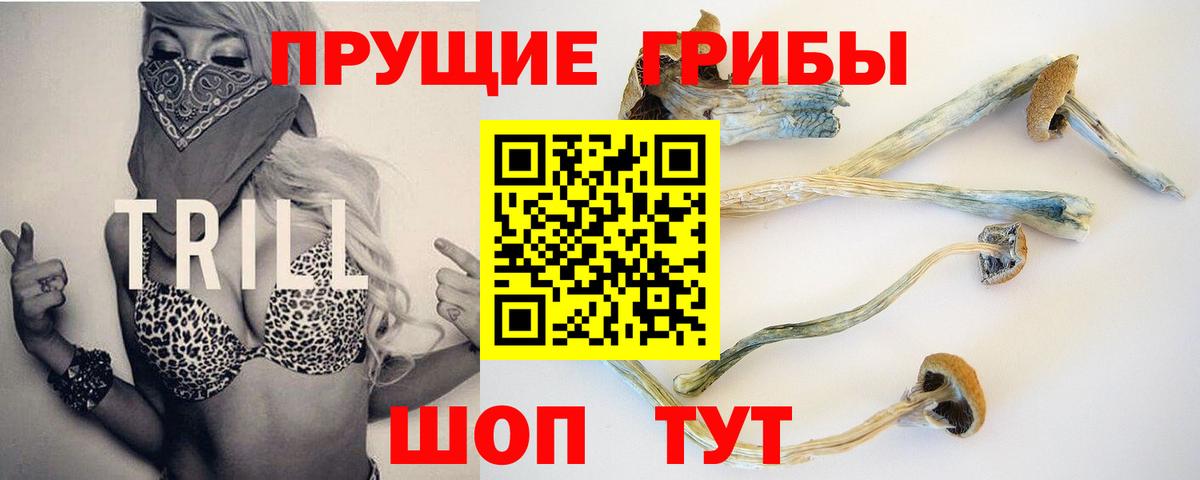Пермь  где продают наркотики  Вход с VPN  Галлюциногенные грибы Magic Shrooms 